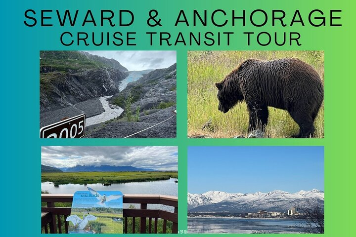 Seward to Anchorage transfer with National Park hike and AWCC - Photo 1 of 9